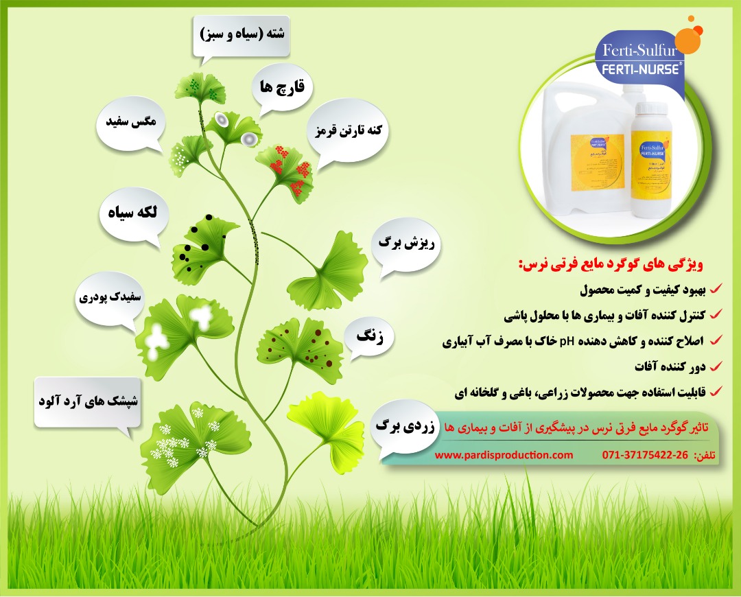 تاثیر گوگرد مایع در پیشگیری ار آفات و بیماری ها